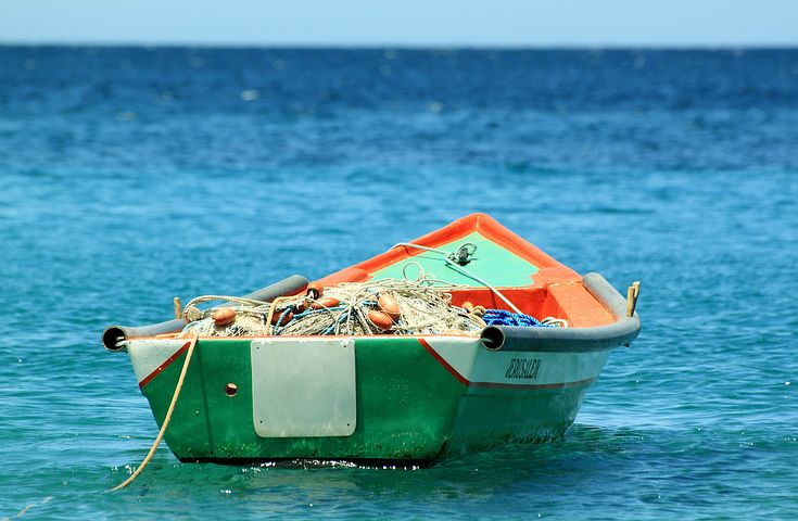 trasformazione prodotti della pesca: bando Regione Lazio